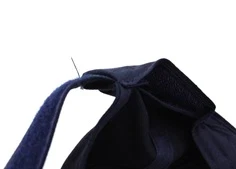 Name It dark sapphire kasket Gigantosaurus